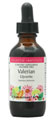 �G�N���N�e�B�b�N �o�����A�� �`���L 60ml