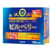 ビルベリー200MAX