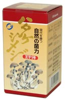 ハタケシメジ王子1号