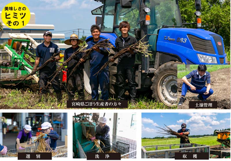 宮崎県収穫農家