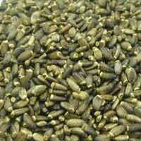 生活の木 有機ミルクシスル 500g