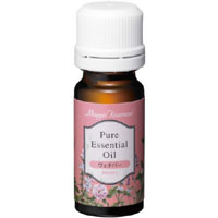 マギーティスランド ヴェチバー 12ml