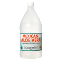 メキシカンアロエ 2L