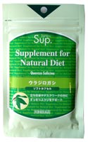 Sup.ウラジロガシ