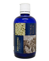 生活の木 フローラルウォーター ローマンカモマイル 100ml