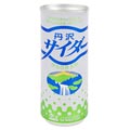 創健社 丹沢サイダー 250ml×30本