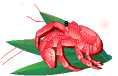 やしがに